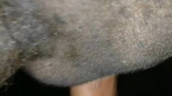 Guy's stiff cock thrusts in and out in a POV video