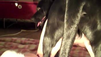 Soaked vagina blonde gets on hands and knees to screw a canine
