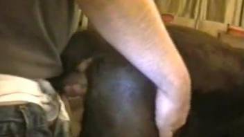 Dude with a hard dick destroying a dog's tight pussy