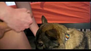 Guy with a stiff erection deepthroating his pup