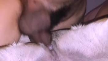 Guy with iron-hard cock bangs a female dog and shoots cum on her fur