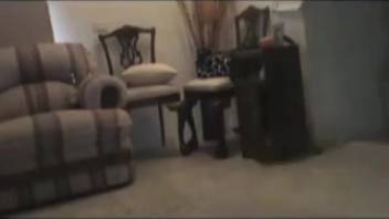 Vintage animal sex clip with novice bestiality fans