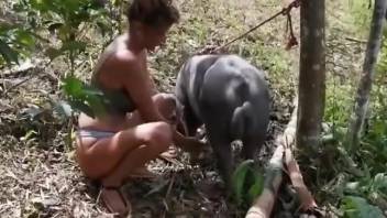 Sexy animal gets a nice blowjob from a horny zoophile