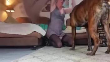 Dog fucks a zoophile's wet pussy while on all fours