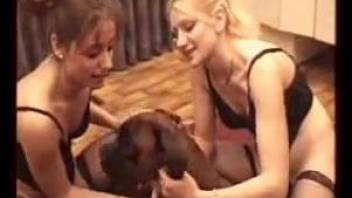 Fishnets-clad blonde stroking a dog's meaty cock