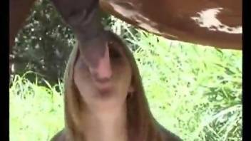 Horse with a huge cock dominating a Latina's pussy