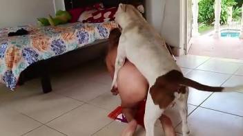 Sexy blonde female dog fucked at home and juiced