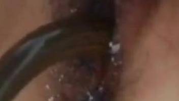Close-up porno  video with a snake or an eel or something