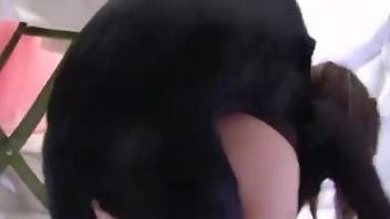 Cam