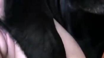 Blonde woman gets filmed when handling a dog dick