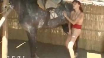 Redheaded gal getting fucked by a huge-dicked horse