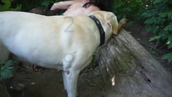 Naked lady thrusts the canine cock into her vagina during a perverse show
