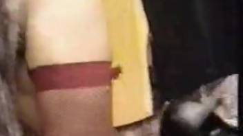 Girl in crimson hose gets wrecked by a well-endowed pooch