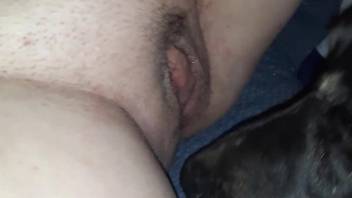 Dog licks woman's wet pussy during solo masturbation