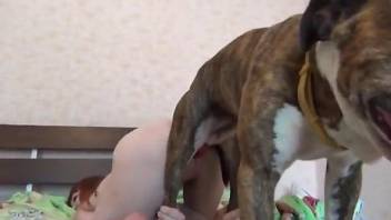Slim amateur woman filmed when trying sex with a dog