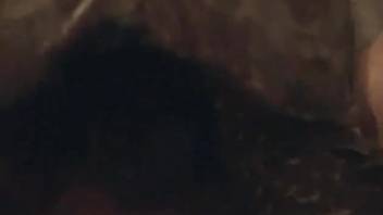 Guy lets a reptile handle his thick shaft in first-person view