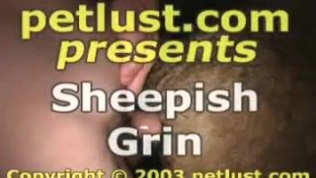 Guy screws a hot ewe in an intense bestiality flick with dudes