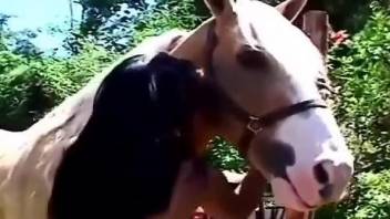 Huge horse cock is the tastiest treat for this hoe