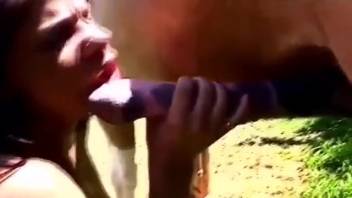 Massive stallion dick is the yummiest delight for this slut