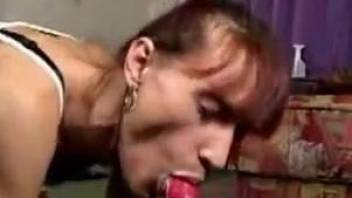Fine woman feels entire dog penis in her shaved cunt