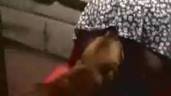 Blonde grandma cheerfully allows a canine to fuck her