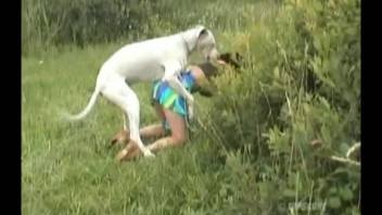 Various animal sex scenes in a single steamy adult film