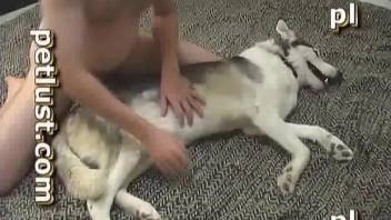 Chubby guy with a stiff cock fucking a sexy dog