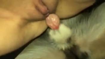Intimate film centered on a shaved vagina bestiality enthusiast
