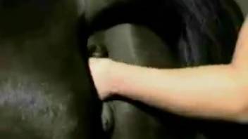 Intense bestiality action for these two babes in rough animal fucking
