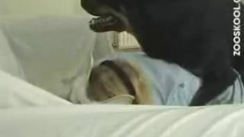 Ebony hound ravages this whore's craving orifices