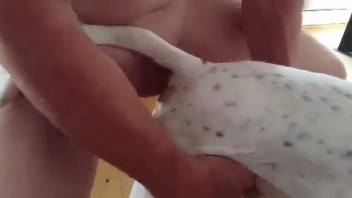 Hot bitch's cunt brutally slammed by a lustful guy