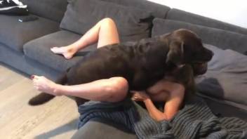 Attractive blonde woman attempts missionary position with an actual dog in amateur adult video