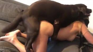 Fine blonde tries missionary sex with a real dog in homemade XXX