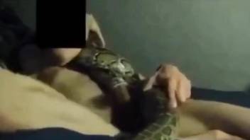 Snake fucking session with a really pretty dude