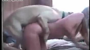 Bouncy ass chick being pounded by a dominant brute