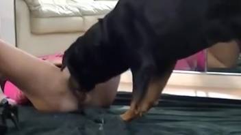 Tall woman with a moist vagina relishes wild bestiality with a dog