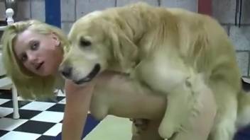 Skinny blonde shares dog's cock with her best friend