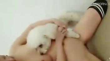 Asian chick allows the animal to eat her out