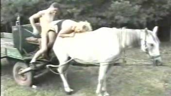 Backyard trio encounter involving a duo and their female horse
