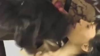 Hot novice spouse performs fellatio on the canine's penis during a solo homemade adult video audition