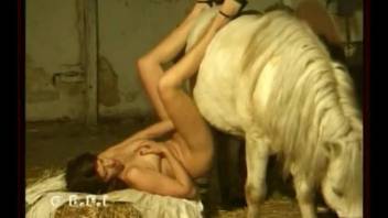 Tiny white horse gets a blowjob from a mature slut