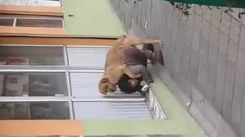Amateur canine deviances featuring a dressed lady acting submissive