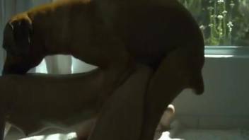 Aroused female bends ass in perfect angle for her dog