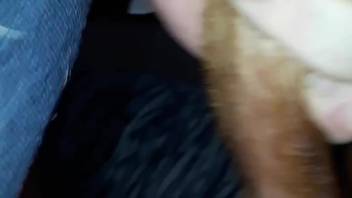 Steamy canine vagina pounded by a sleazy guy