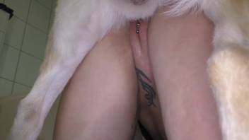 Girl masturbates herself while sucking deep on canine penis