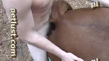 My hubby zoofil fucked his stallion from behind