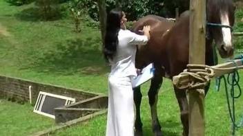 Skanky veterinarian sucking on a horse's huge cock