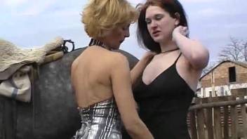 Blond woman in skimpy underwear gets screwed by a well-endowed stallion outside