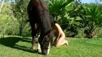 Tanned and twisted brunette sucking horse cock outdoors
