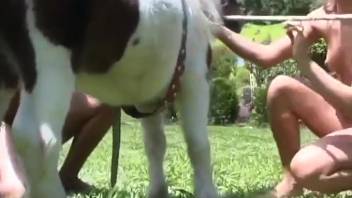 Massive equine shaft glides into her exquisite vagina